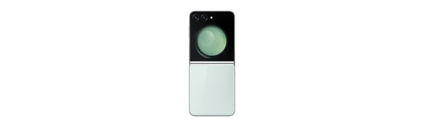Galaxy Z Flip Series
