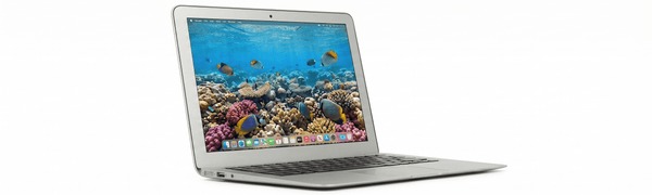 A1286 (Late 2008 - Mid 2012)