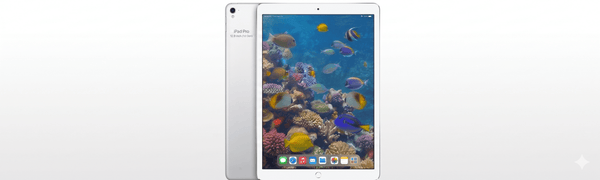 iPad Pro 12.9" 1st Gen (2015)