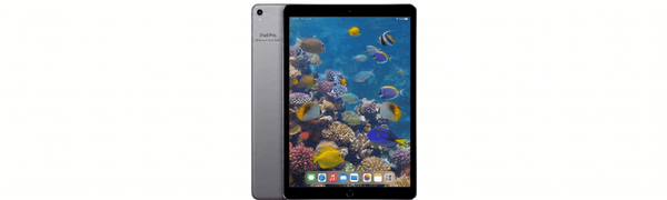 iPad Pro 12.9" 2nd Gen (2017)