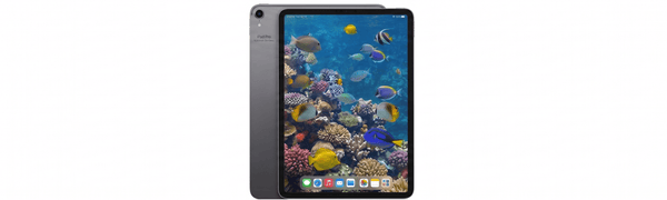 iPad Pro 12.9" 3rd Gen (2018)
