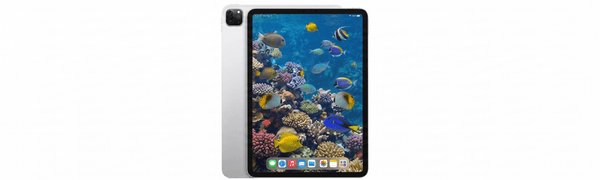 iPad Pro 12.9" 6th Gen (2022) - M2