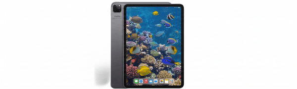 iPad Pro 12.9" 4th Gen (2020)