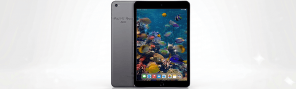 iPad 5th Gen (2017)
