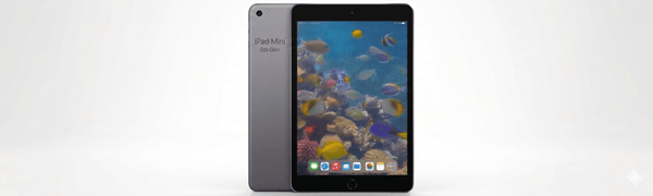 iPad Mini 5th Gen (2019)