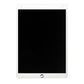 iPad Air 3 Replacement LCD and Digitiser
